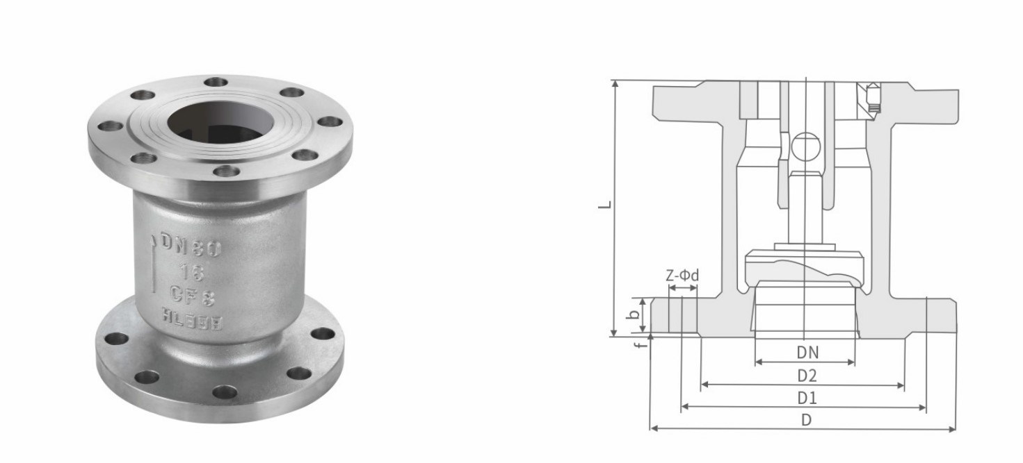 Check Valve 1.jpg