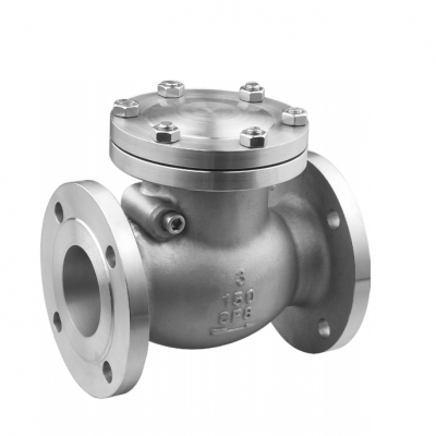 Swing Check Valve Flange Ends